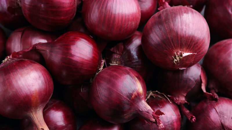 CDC says, you don’t have the foggiest idea where your onions came from then discard them to forestall salmonella