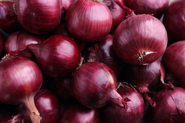 CDC says, you don’t have the foggiest idea where your onions came from then discard them to forestall salmonella